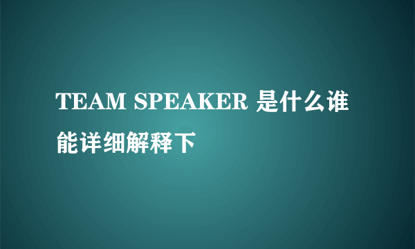 TEAM SPEAKER 是什么谁能详细解释下