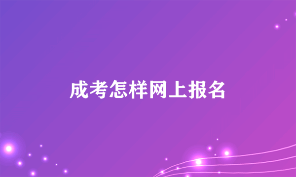 成考怎样网上报名