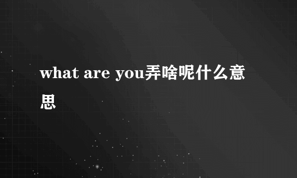 what are you弄啥呢什么意思