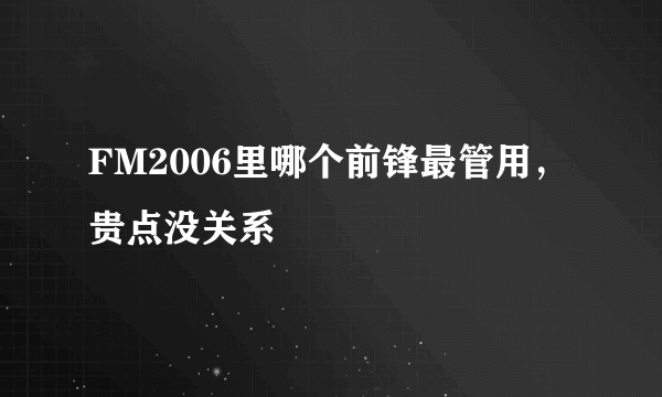 FM2006里哪个前锋最管用，贵点没关系