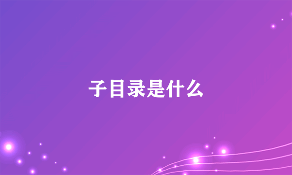 子目录是什么