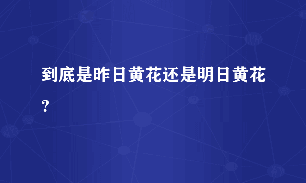 到底是昨日黄花还是明日黄花？