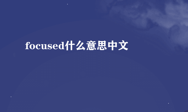 focused什么意思中文