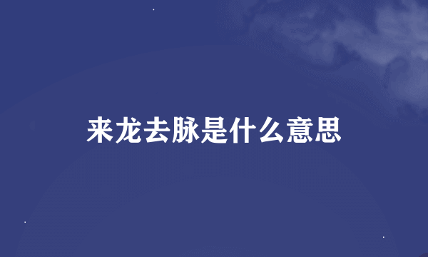 来龙去脉是什么意思