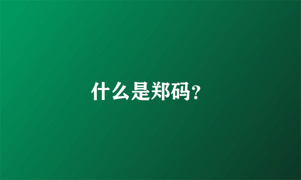 什么是郑码？