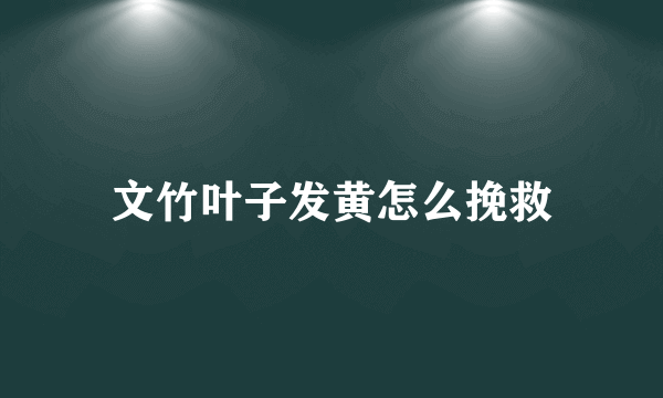 文竹叶子发黄怎么挽救