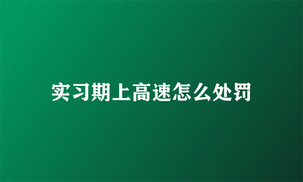 实习期上高速怎么处罚