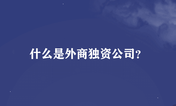 什么是外商独资公司？