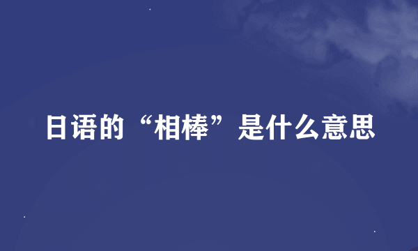 日语的“相棒”是什么意思