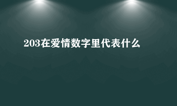 203在爱情数字里代表什么