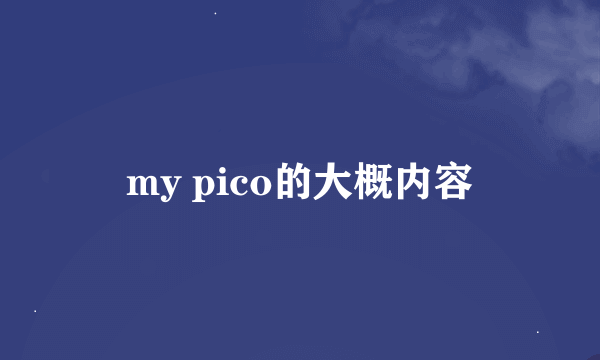 my pico的大概内容