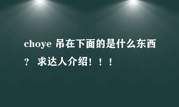 choye 吊在下面的是什么东西？ 求达人介绍！！！