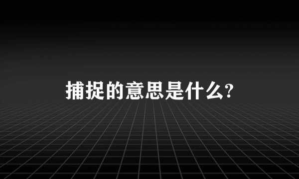 捕捉的意思是什么?