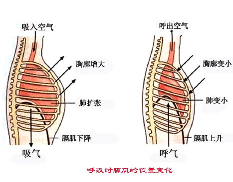 想学唱歌 最基本先学什么