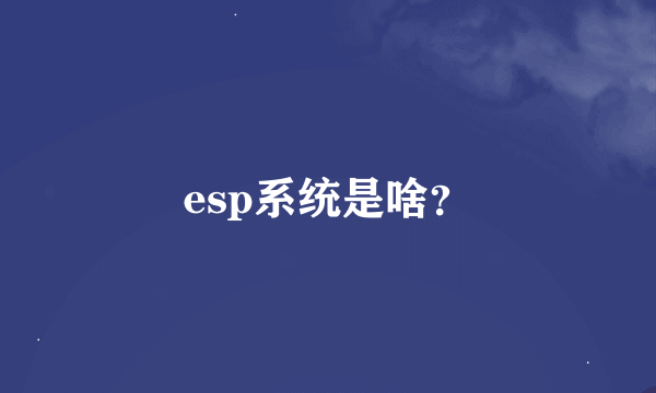 esp系统是啥？