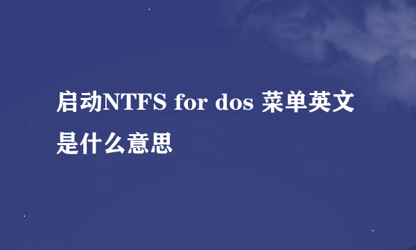 启动NTFS for dos 菜单英文是什么意思