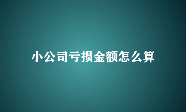 小公司亏损金额怎么算