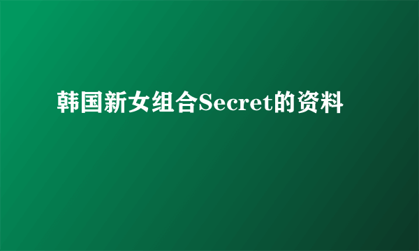 韩国新女组合Secret的资料