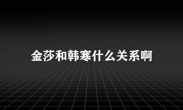 金莎和韩寒什么关系啊