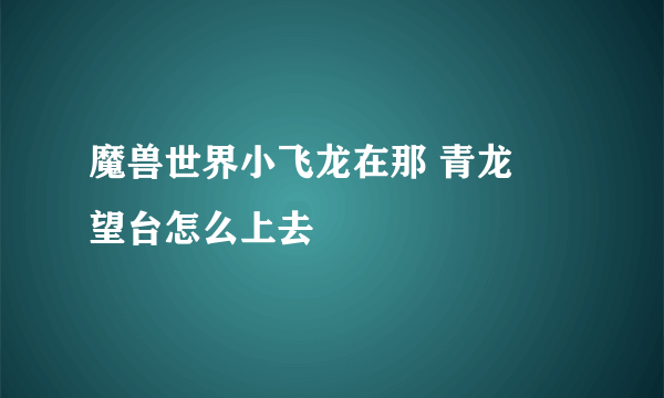 魔兽世界小飞龙在那 青龙瞭望台怎么上去