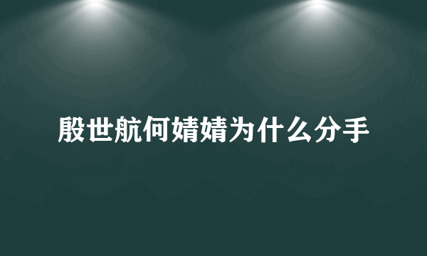 殷世航何婧婧为什么分手