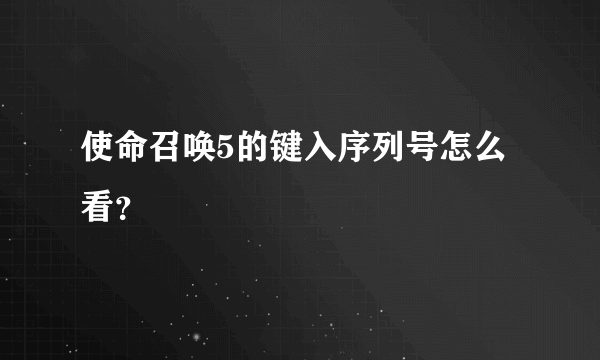 使命召唤5的键入序列号怎么看？