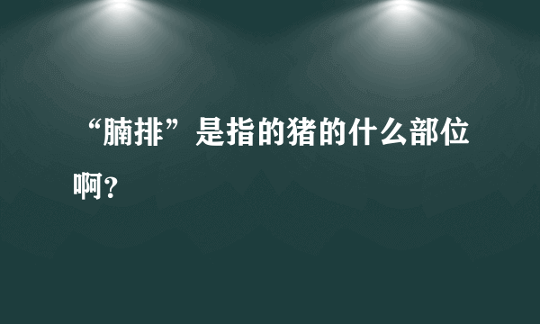 “腩排”是指的猪的什么部位啊？