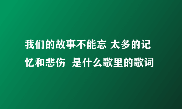 我们的故事不能忘 太多的记忆和悲伤  是什么歌里的歌词