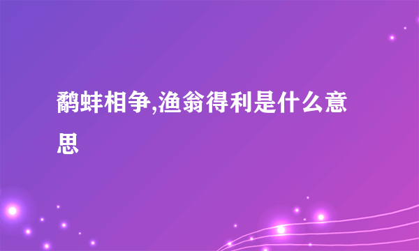 鹬蚌相争,渔翁得利是什么意思