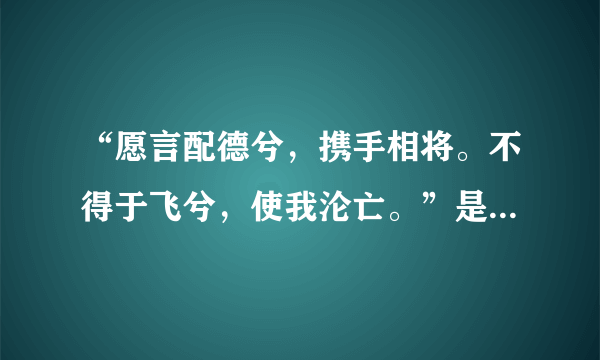 “愿言配德兮，携手相将。不得于飞兮，使我沦亡。”是什么意思？