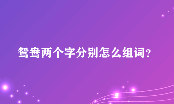 鸳鸯两个字分别怎么组词？