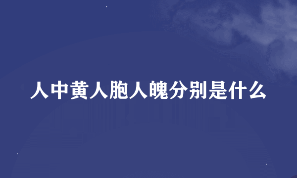 人中黄人胞人魄分别是什么