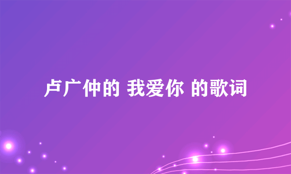 卢广仲的 我爱你 的歌词