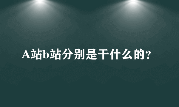 A站b站分别是干什么的？