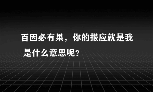 百因必有果，你的报应就是我 是什么意思呢？