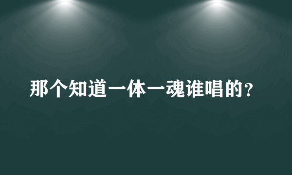 那个知道一体一魂谁唱的？