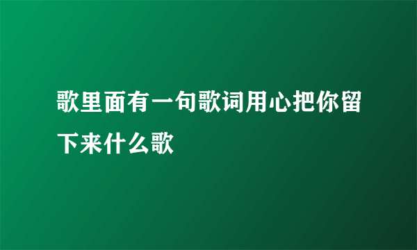 歌里面有一句歌词用心把你留下来什么歌