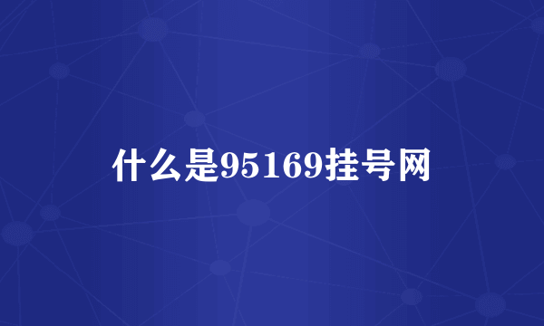 什么是95169挂号网