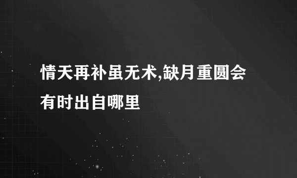 情天再补虽无术,缺月重圆会有时出自哪里