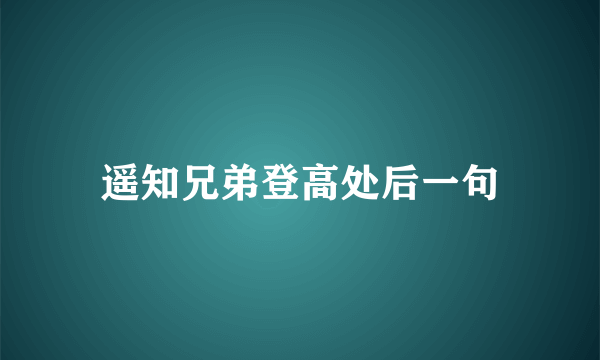 遥知兄弟登高处后一句