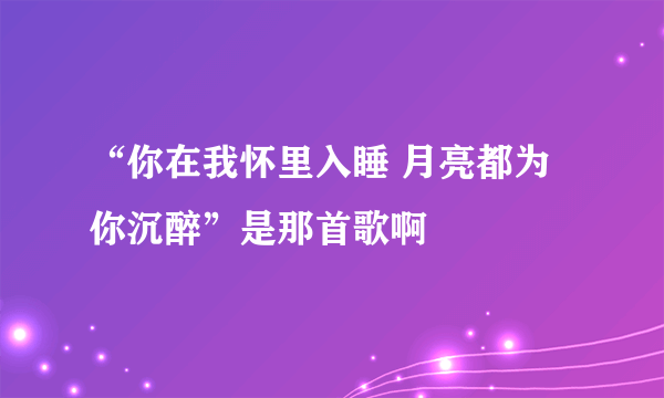 “你在我怀里入睡 月亮都为你沉醉”是那首歌啊