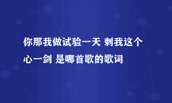 你那我做试验一天 刺我这个心一剑 是哪首歌的歌词