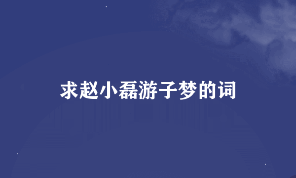 求赵小磊游子梦的词