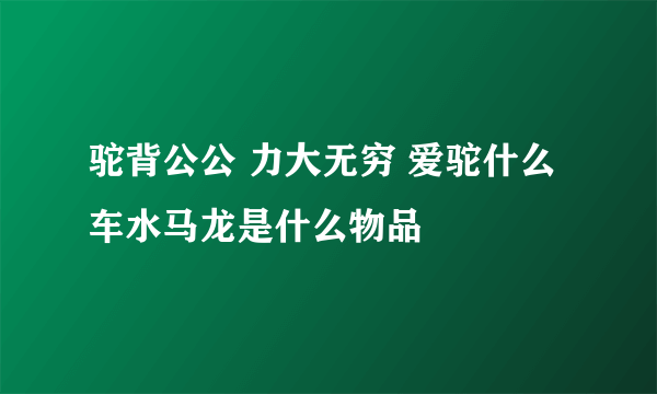 驼背公公 力大无穷 爱驼什么 车水马龙是什么物品