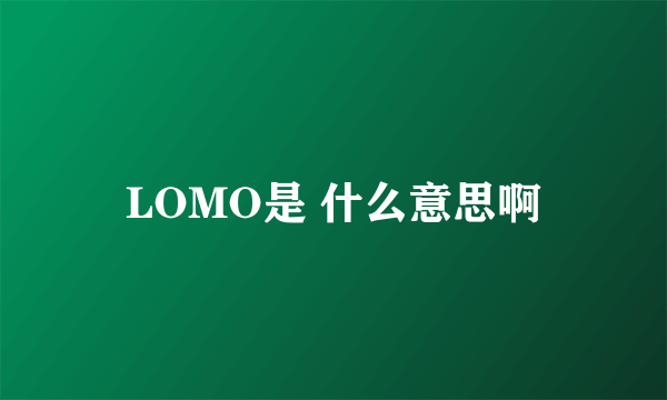 LOMO是 什么意思啊