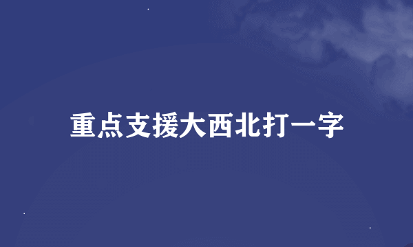 重点支援大西北打一字