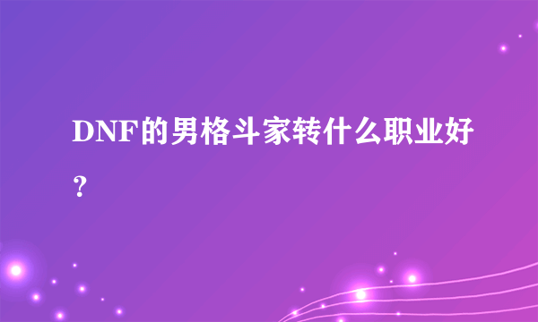 DNF的男格斗家转什么职业好？