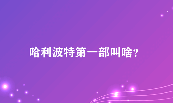 哈利波特第一部叫啥？