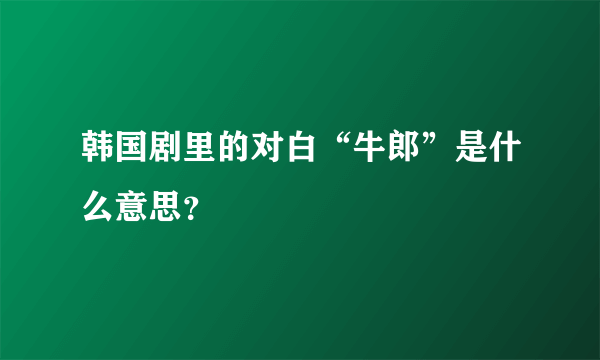 韩国剧里的对白“牛郎”是什么意思？