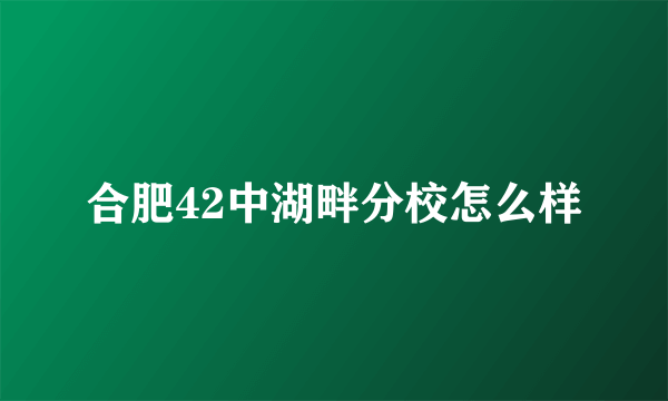 合肥42中湖畔分校怎么样